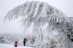 海拔1000m以上地区有降雪 周末赏雪约一个 - 重庆晨网
