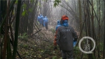 下雨的密林里有一群志愿者在行进……%0A记者(5636413)-20201214212749.jpg - 重庆晨网