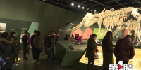 重庆又新增两家国家一级博物馆 目前共有五家 - 重庆晨网