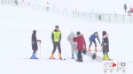 奉节茅草坝滑雪场将在本月26日开放啦！ - 重庆晨网