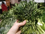 雪里红、苦菊、板蓝根叶……重庆市场出现“新蔬菜”，你认识几种？ - 重庆晨网