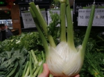 雪里红、苦菊、板蓝根叶……重庆市场出现“新蔬菜”，你认识几种？ - 重庆晨网