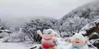 积雪10cm! “霸王级”寒潮来袭 重庆多地降大雪 - 重庆晨网