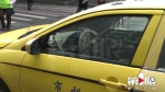 两辆出租车斑马线前追尾 后面的出租车突然自燃 - 重庆晨网