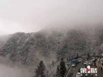 金佛山降下2021年第一场雪 - 重庆晨网