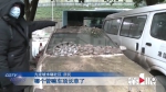 “僵尸车”墓地惊现九龙坡！百米人行道“埋”了8辆 - 重庆晨网