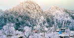 雪后重庆山中美景，每一帧都是仙境！ - 重庆晨网