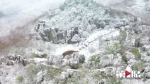 美爆了！南川山王坪万亩林海白雪皑皑 似梦幻童话世界 - 重庆晨网