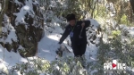 52岁冰雪行者 每天步行20多公里山路只为一件事 - 重庆晨网