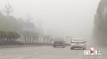 大雾围城 黔江发布黄色预警 局部能见度不足百米 - 重庆晨网