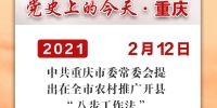 党史上的今天·重庆丨2002年2月12日 中共重庆市委常委会提出在全市农村推广开县“八步工作法” - 重庆晨网