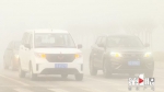 黔江今晨大雾来袭 部分地区能见度不足100米 - 重庆晨网