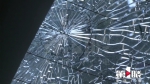 轿车挡风玻璃被打碎 罪魁祸首又是它 - 重庆晨网