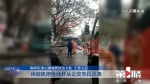 电线杆砸中公交车 通讯线路受损严重 - 重庆晨网