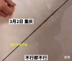 极品！重庆租客退房，房东称地板砖缝隙变大，要扣2000元 - 重庆晨网