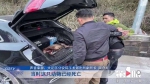 非法狩猎野生动物 三名男子被刑拘 - 重庆晨网