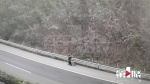 累到崩溃！回家迷路误闯高速公路 老人推车走了十几公里 - 重庆晨网