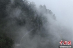 图为重庆黑山谷雨雾缭绕宛如仙境。　周毅 摄 - 重庆晨网