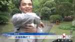 孝心感人！儿子带着残疾母亲游玩重庆 - 重庆晨网