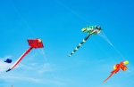 这些可以放风筝的好地方 一起乘着轨道交通去玩吧 - 重庆晨网