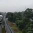 定了！全球首条无人驾驶“云巴”16日在重庆璧山开通 - 重庆晨网