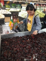小龙虾抢”鲜”上市 价格上涨两成左右 - 重庆晨网
