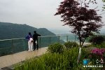 沿着峡江步道 看悬崖边上的长江春景 - 重庆晨网
