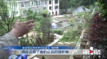 小区绿化地成了私家花园 业主为此意见大 - 重庆晨网