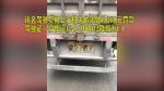 这个驾驶员有点“贼” 故意用废机油污损车牌！ - 重庆晨网