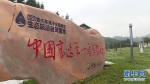 中国高速第一自驾营地 重庆石柱冷水服务区凭什么？ - 重庆晨网