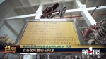化石“猎人” 古生物学家代辉：重庆境内很多地方都有恐龙的化石和遗迹 - 重庆晨网