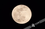 渝北区月亮正圆，一架飞机穿过。华龙网-新重庆客户端记者 谢鹏 摄 - 重庆晨网