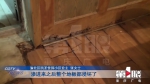 墙角渗水严重 住户客厅木地板全部报废 - 重庆晨网
