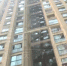蟊贼爬上27层高楼盗窃 一得手就打赏给了女主播 - 重庆晨网