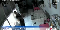 4男子破门而入 宠物店6只猫狗被盗损失4万多 - 重庆晨网