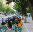 共享电单车全行业每年可减碳163.6万吨 看看重庆人用车贡献了多少 - 重庆晨网