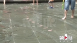 大型儿童耍水现场！三峡广场水景开放 但要注意安全 - 重庆晨网