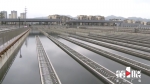 用水不愁！重庆今年还将新增113个供水项目 - 重庆晨网