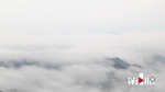 仿佛在云端“漫步” 黔江三塘盖出现壮美云海景观 - 重庆晨网