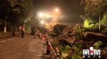 忠县山体塌方导致道路受阻 连夜抢险恢复通行 - 重庆晨网