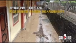 黔江暴雨来袭 最大降雨量超100毫米 - 重庆晨网
