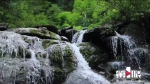 山中一夜雨 处处挂飞泉 - 重庆晨网