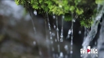 山中一夜雨 处处挂飞泉 - 重庆晨网