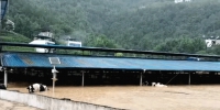 巫溪遭遇强对流天气 场镇被淹200多头奶牛被困 - 重庆晨网