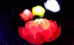 云阳月光草坪灯饰，拿下照明界的“奥斯卡奖” - 重庆晨网
