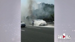 女司机遭遇车辆自燃 公交驾驶员紧急救援 - 重庆晨网