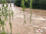 防范！重庆14区县中小河流将涨水 个别或超警 - 重庆晨网