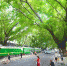 “绿皮火车”进小区 旧城改造颜值高 - 重庆晨网