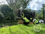 绿化工人正在清理绿带修剪绿植(6853488)-20210906184753.jpg - 重庆晨网
