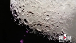 天文望远镜下的月亮什么样？看这群师生“硬核”赏月 - 重庆晨网